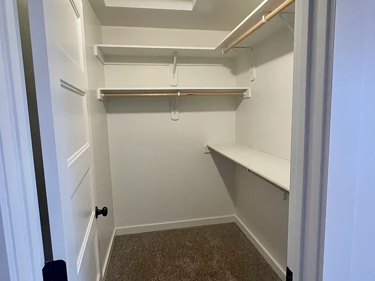 Primary Closet