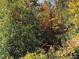 Briscoe Rd, Swan Lake, NY 12783