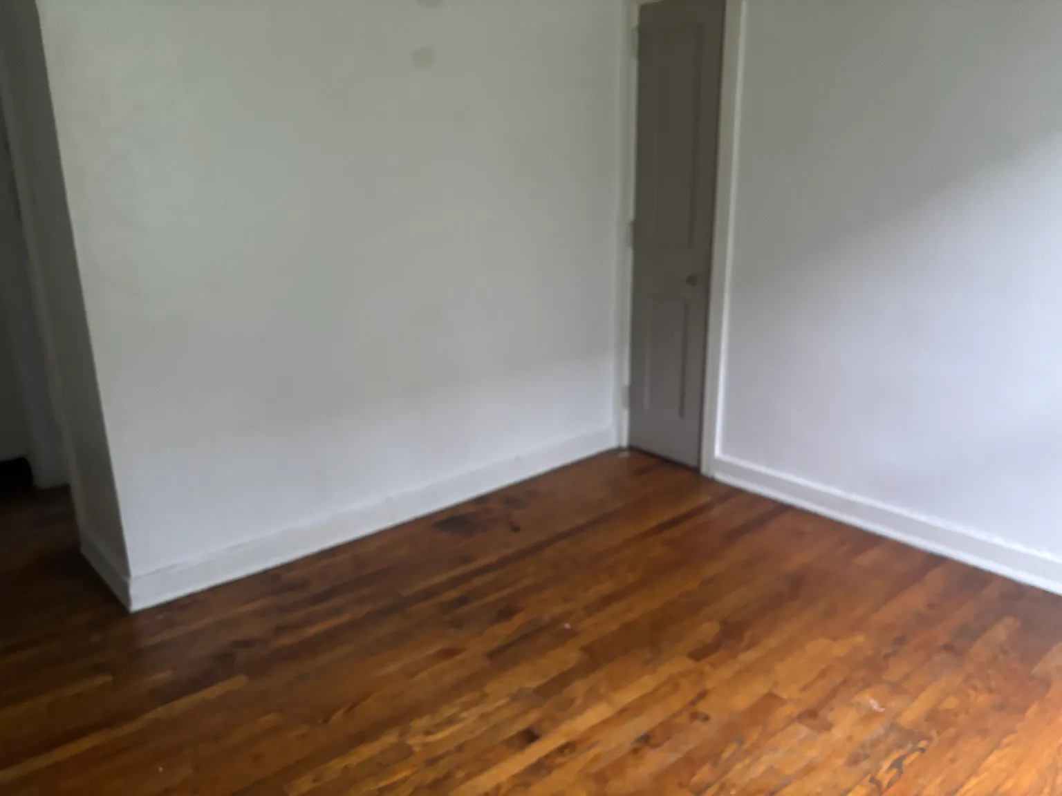 1 bed, $725 — Photo 2