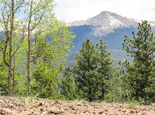 704 Woodrock Way, Divide, CO 80814