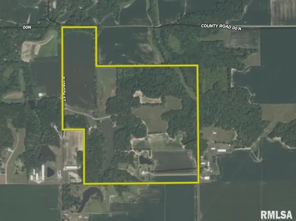 21634 N 1050th St, Hidalgo, IL 62432