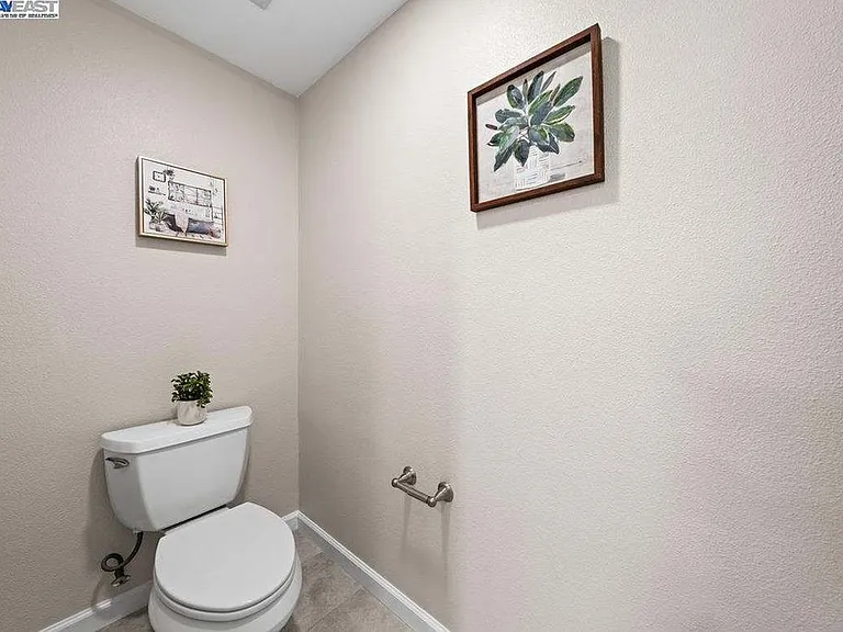 49002 Cinnamon Fern Cmn #134 — Photo 17