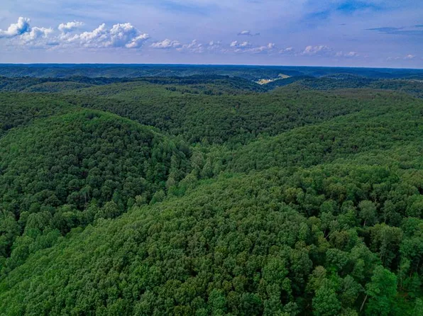 Stoneburner Rd, Ray, OH 45672