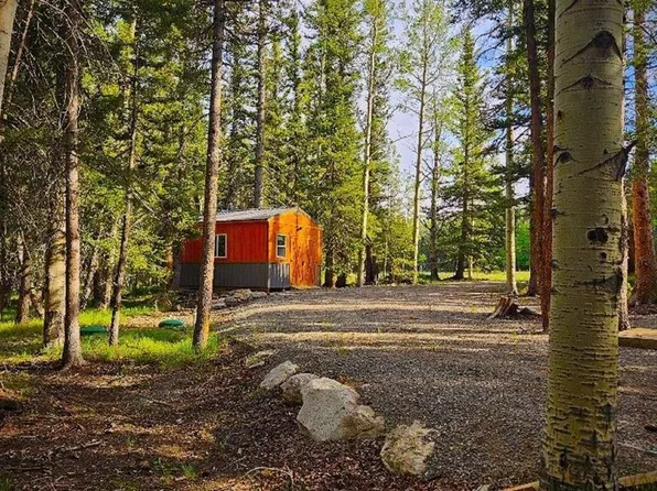 160 Lake Road, Cimarron, CO 81220