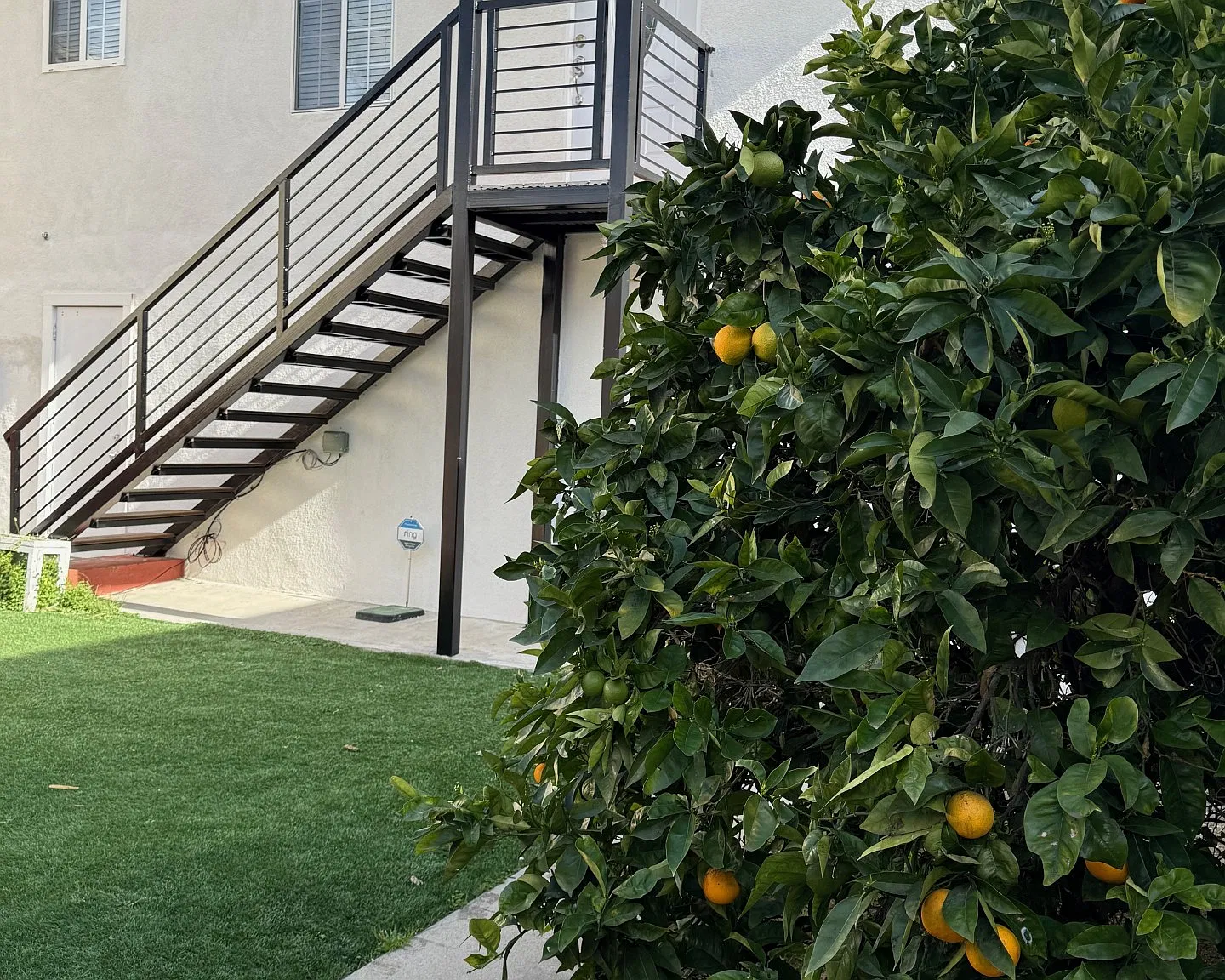 1 bed, 650 sqft, $3,400 — Photo 1