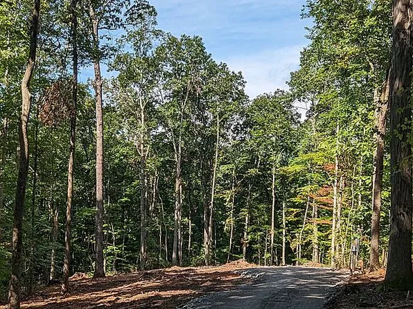 Witherspoon Dr, Smithville, TN 37166