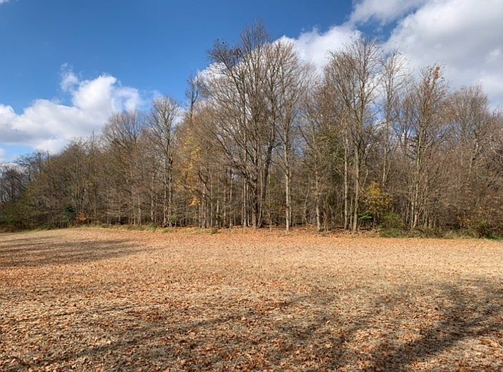 2nd image of 0 Eckert Rd