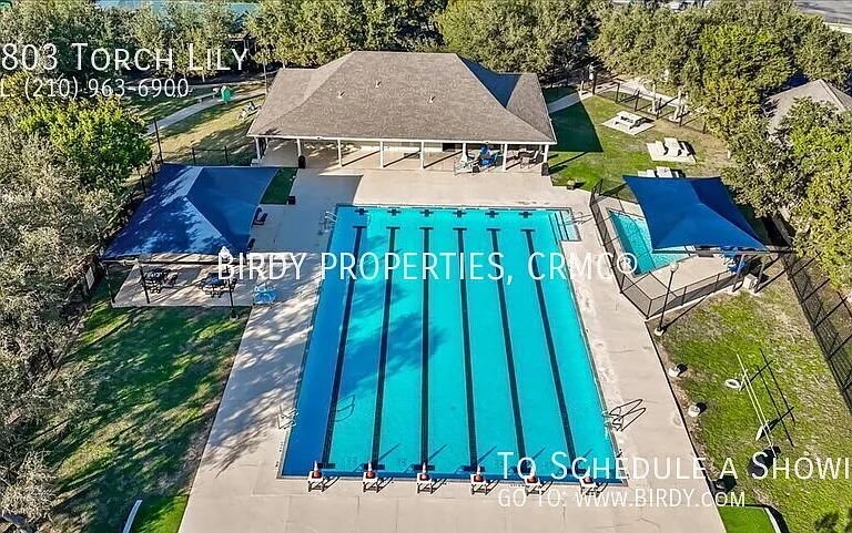 25803 Torch Lily — Photo 50