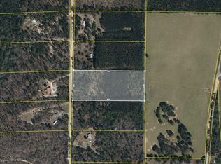 S Mount Sinai Rd, Butler, GA 31006