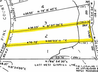 Pine St, Hillman, MI 49746
