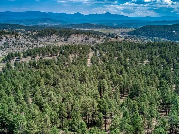 Tract 1 Bienvenido Circle, Pagosa Springs, CO 81147