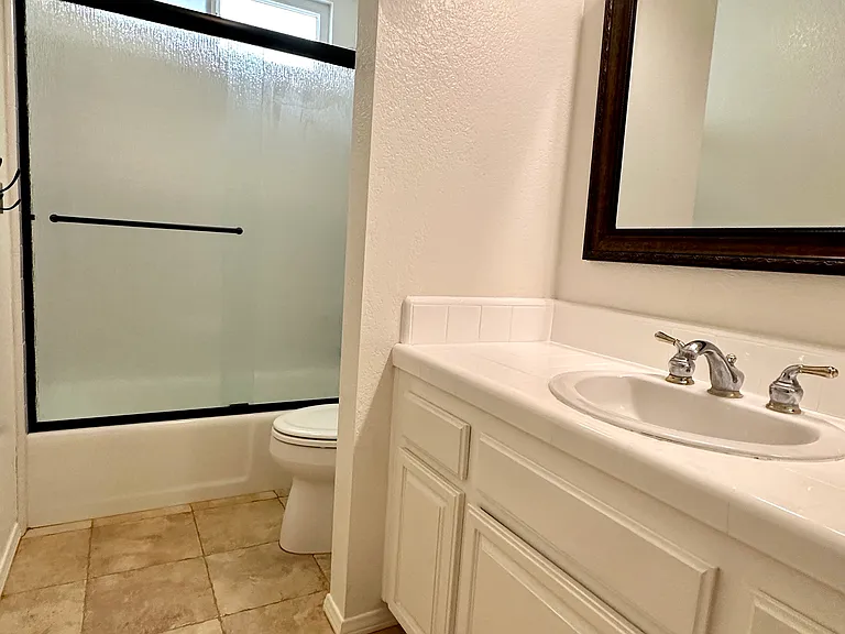 Lower Level Hall Bathroom
