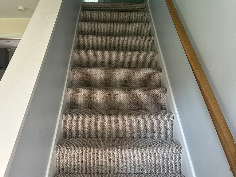 54 Randall Dr — Photo 15