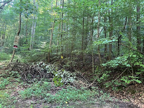4th image of 0 Mill Creek Rd