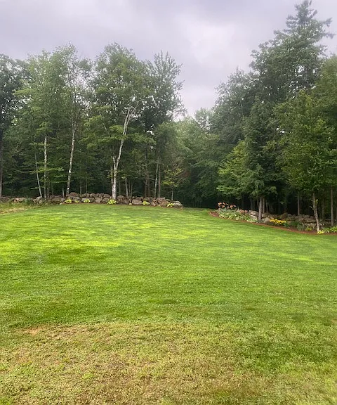 Photo of front yard with islands of plants, bushes and trees.