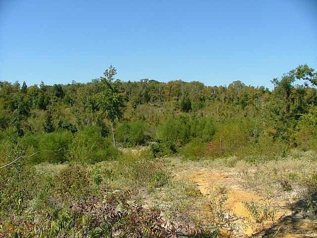 1st image of 2620 Vz County Road 2318