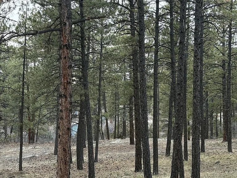 County Road P — Photo 16