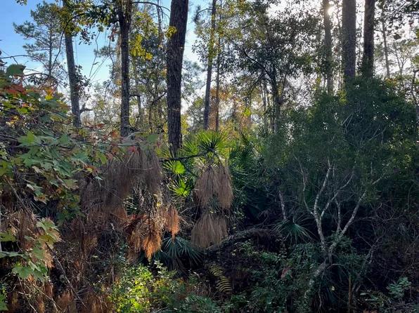 160 LEMON Street, Pomona Park, FL 32181