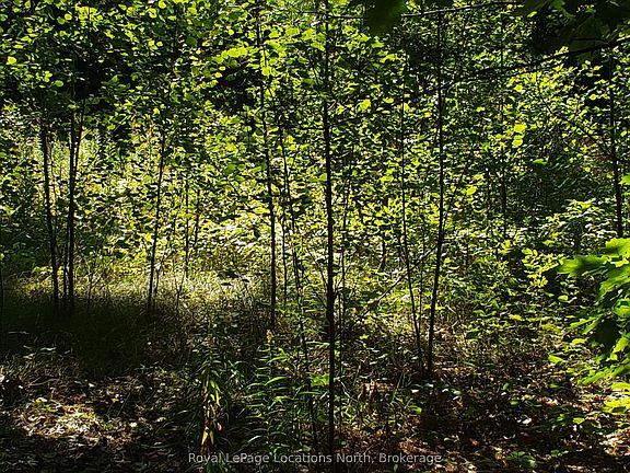 4th image of 23 Stoney Rd