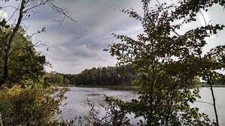 5th image of Eagle Bluff Loop Indian Hills Hbr Lot 353