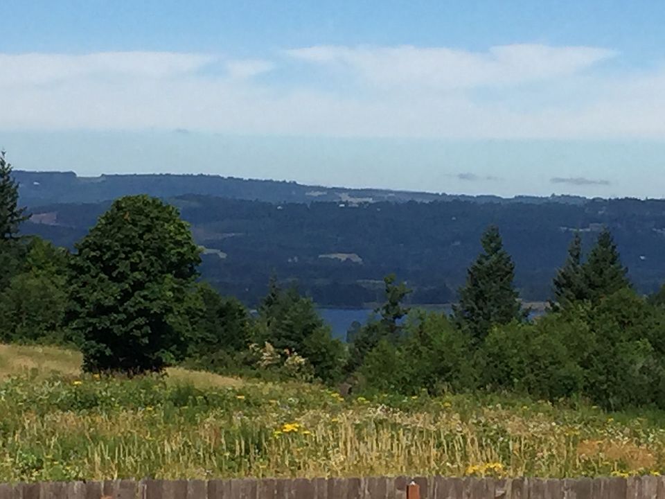 Columbia river view.