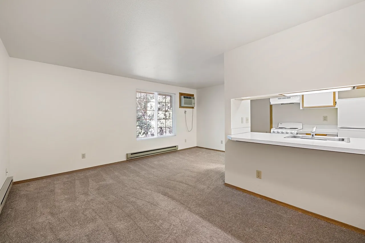 1 bed, 515 sqft, $950 — Photo 4