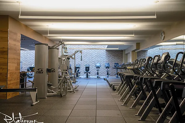 Rented by Platinum Properties | media 11