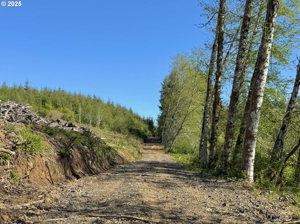 73000 Clatskanie Heights Rd, Clatskanie, OR 97016