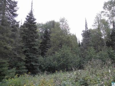 Xxxx McDonnell Rd, Duluth, MN, 55804