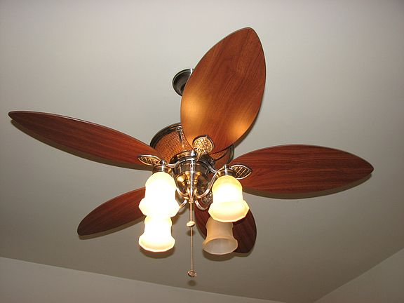 Stylish Ceiling Fan