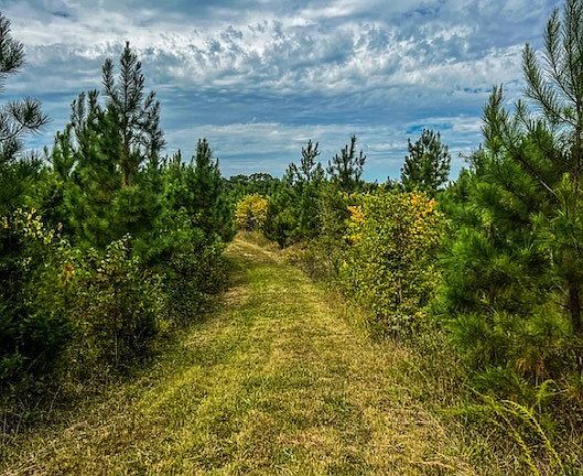 3rd image of 6256 Old Buckingham Rd