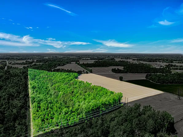 TBD Trinidad Ard Rd, Coward, SC 29530