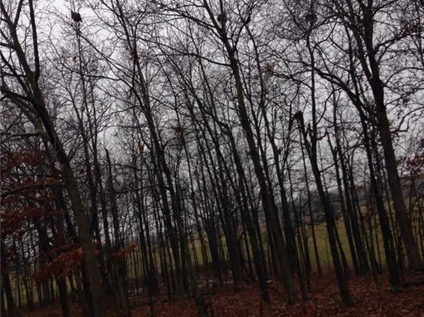 Brierton Ln, Bella Vista, AR 72715