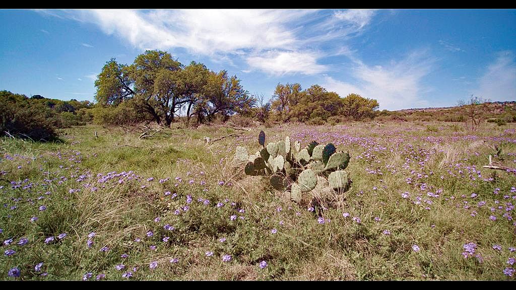 11855 County Rd 101, Ozona, TX 76943 Zillow
