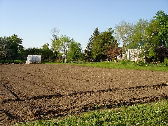 Back yard, garden area