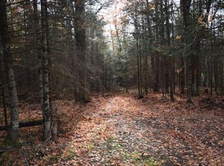 LOT 1 Peshtigo River Rd, Laona, WI 54541