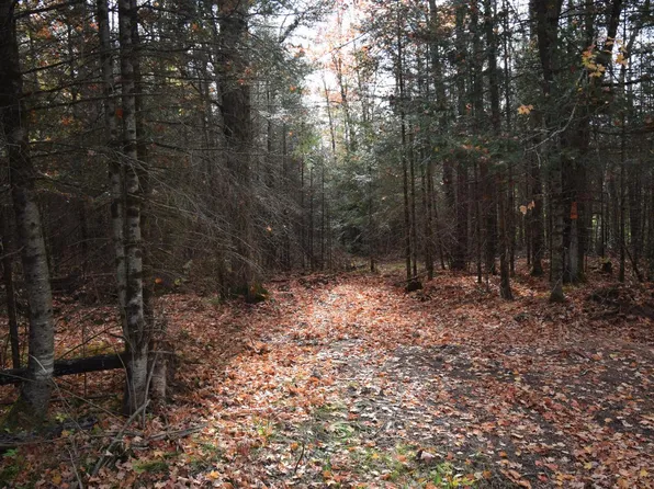 Lt1 PESHTIGO RIVER ROAD, Laona, WI 54541