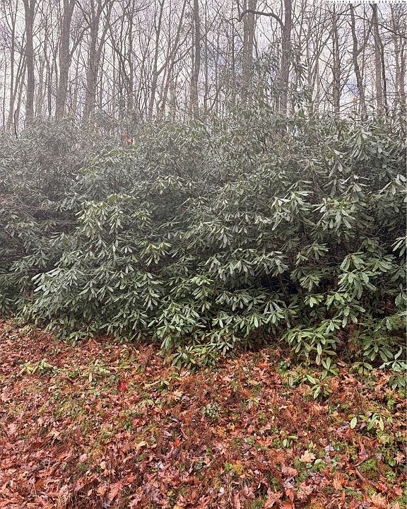 1st image of TBD Buckeye Creek Road