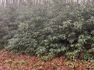 Buckeye Creek Rd, Elk Park, NC 28622