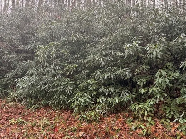 TBD Buckeye Creek Road, Beech Mountain, NC 28622