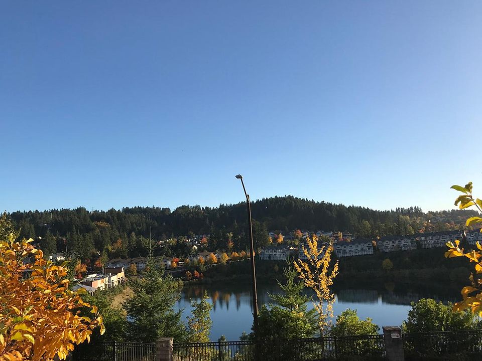 View of Progress Ridge Lake