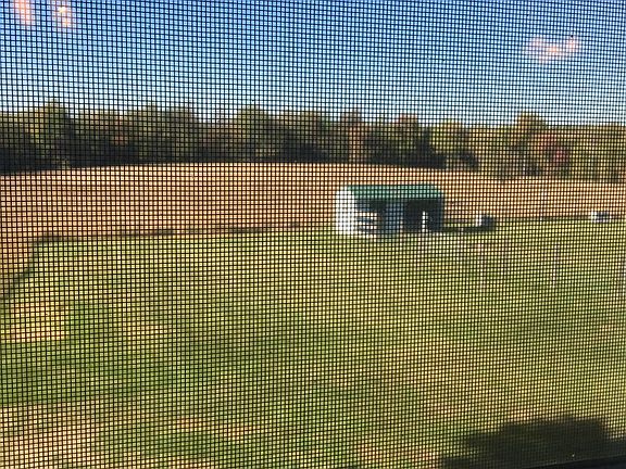 view from the upstairs windows