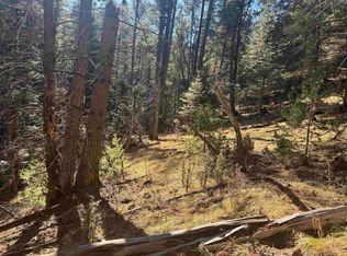 9 Gold Nuggett Aly, Cloudcroft, NM 88317