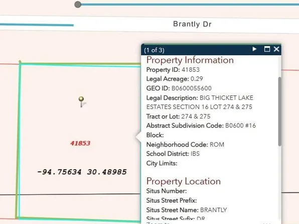 274 & 275 Brantly Drive, Livingston, TX 77351