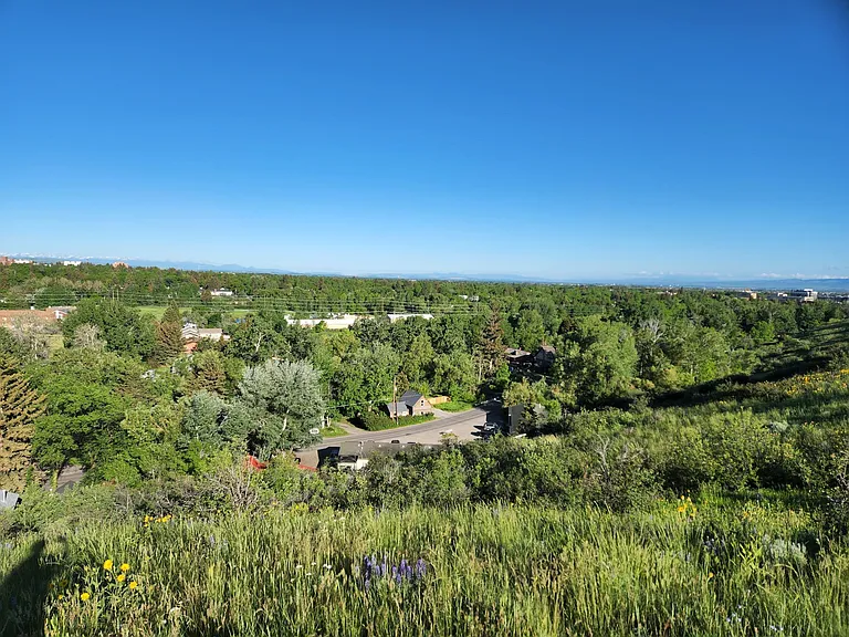 View of Cabin from Peets Hill
