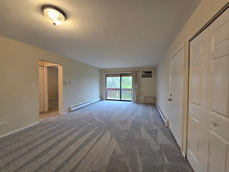 7721 Woodward Ave #3E — Photo 4