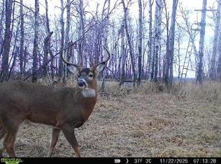 xxx Old 14 Road, Weyerhaeuser, WI 54895