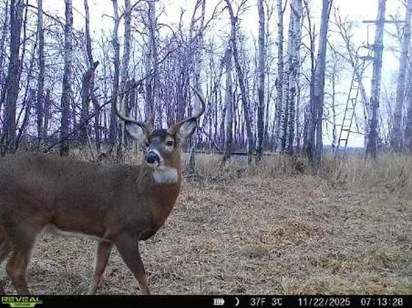 xxx Old 14 Road, Weyerhaeuser, WI 54895