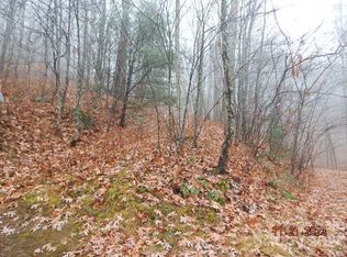 0 Meadows Rd #10, Canton, NC 28716