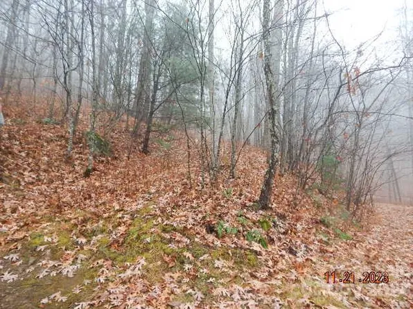 0 Meadows Rd #10, Canton, NC 28716